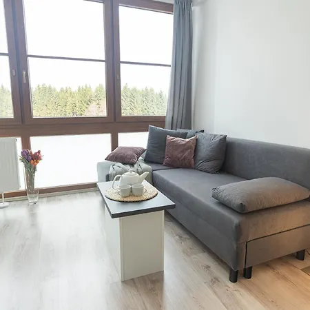 Apartament Rezidence Klinovec *